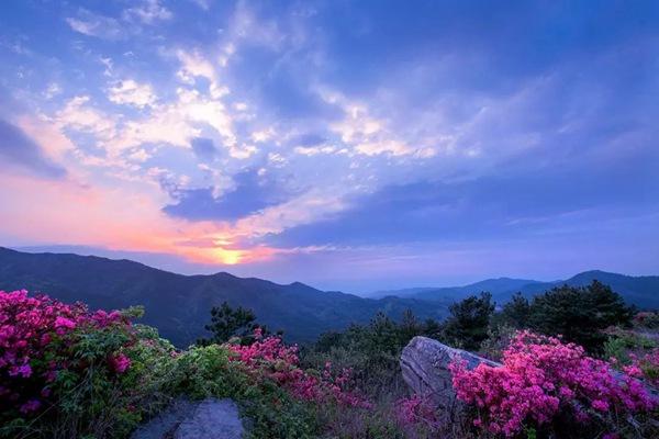 木兰云雾山风景区电话