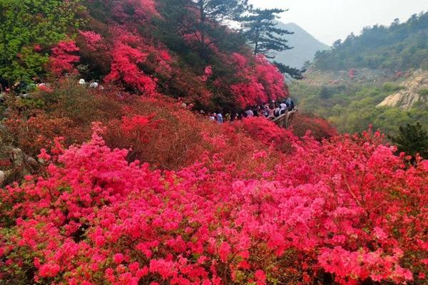 木兰云雾山风景区电话