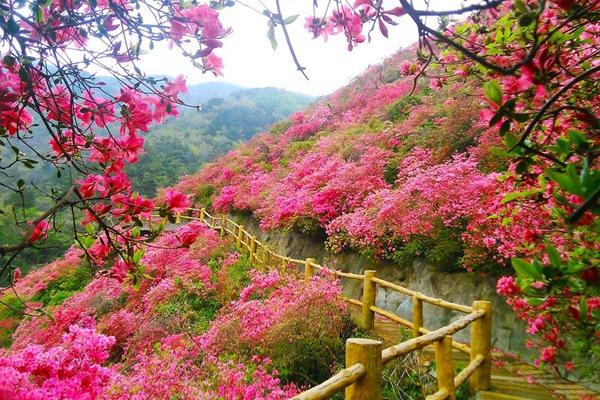 木兰云雾山风景区电话