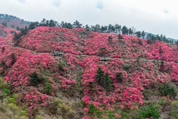 云霧山觀光車多少錢