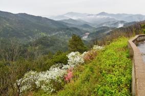 云雾山观光车多少钱