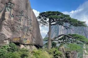 黄山景区停车场收费标准