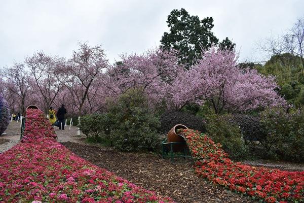 成都植物園開放時(shí)間最新