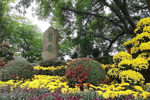 重庆鹅岭公园菊花展时间2023年