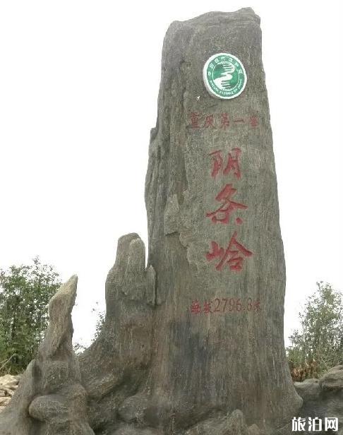 重庆海拔最高的地方和山峰是哪里