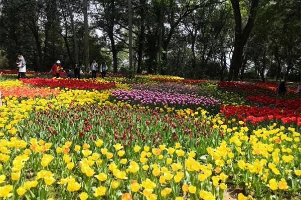2023武汉植物园科学节免费门票攻略