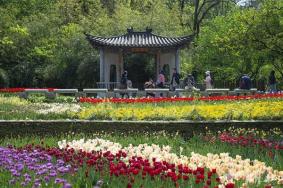 2023武汉植物园科学节免费门票攻略