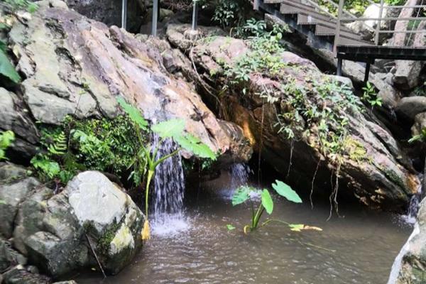 百花岭风景区门票价格