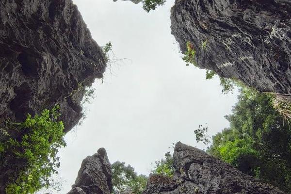 鳞隐石林门票优惠政策