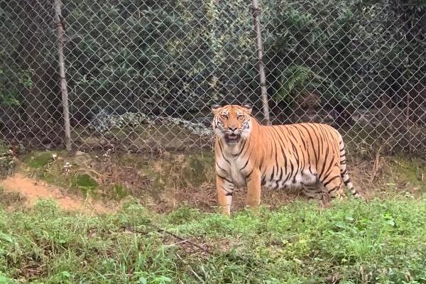 樂和樂都動物園游玩時間