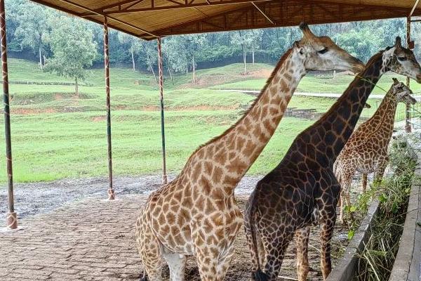 樂和樂都動物園游玩時間