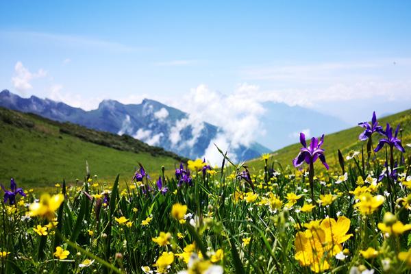 九鼎山和九頂山的區別