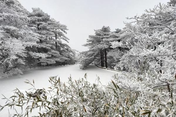 黄山冬天下雪时间是几月
