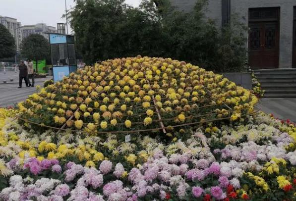 重庆菊花展2023在哪里举办