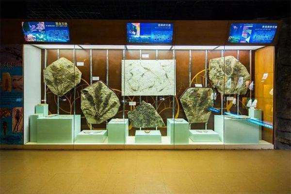 2024中国地质博物馆门票多少钱 附优惠政策