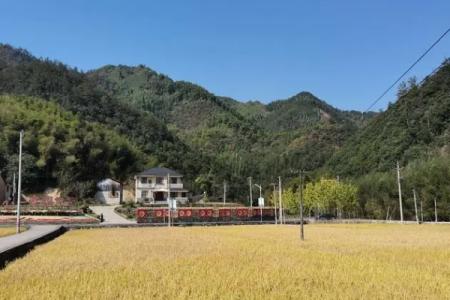 2023杨家村旅游攻略 - 门票价格 - 开放时间 - 简介 - 地址 - 电话 - 交通 - 天气
