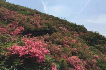 木兰云雾山门票多少钱一张