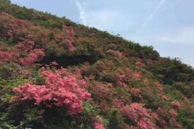 木兰云雾山最佳旅游时间