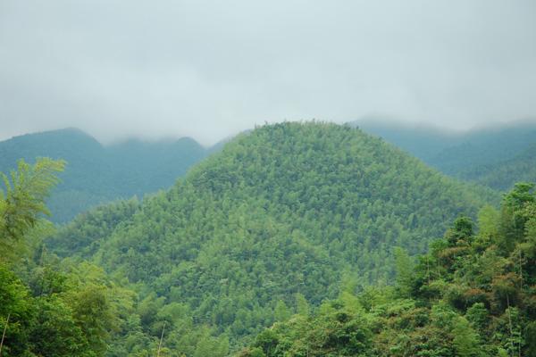 浏阳周洛龙潭风景区游玩攻略-门票价格-景点信息