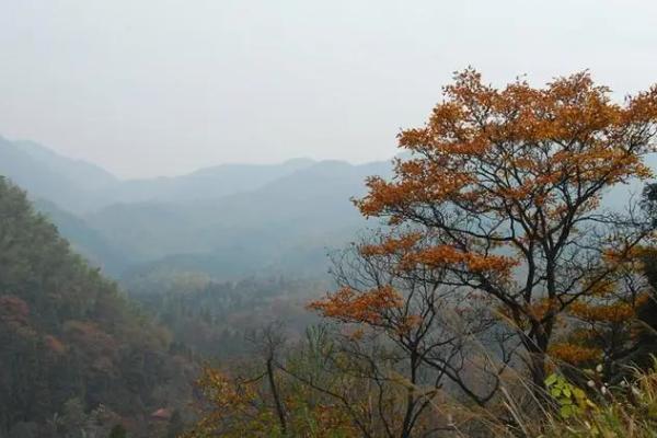 湖南秋季適合去哪旅游