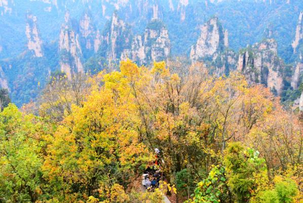 湖北秋季开适往哪旅游