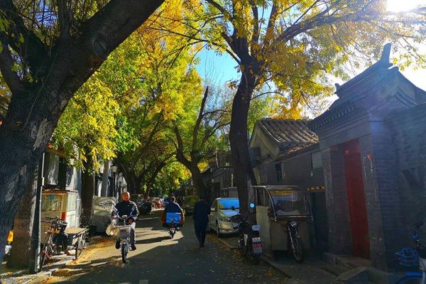 北京有哪些适合秋季去玩的胡同