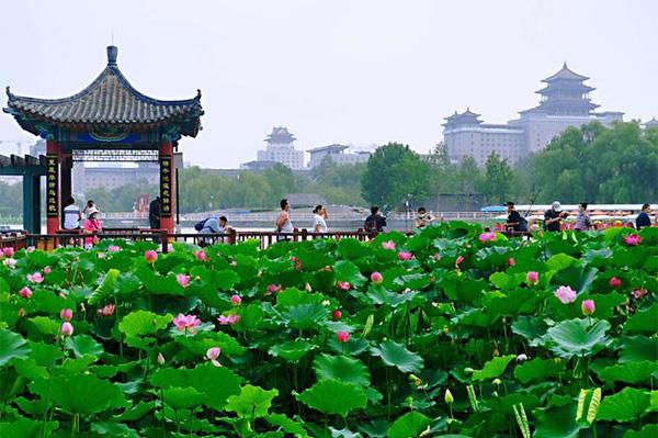 北京蓮花池公園旅游攻略-門票價格-景點信息