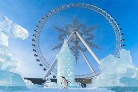 哈尔滨冰雪大世界里面的项目要钱吗