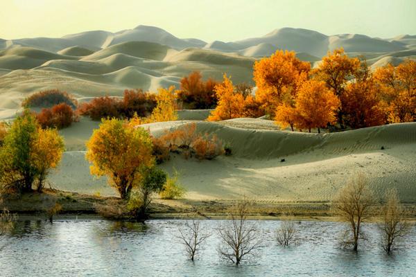 新疆沙漠旅游去哪里最好玩 六大沙漠旅游景点