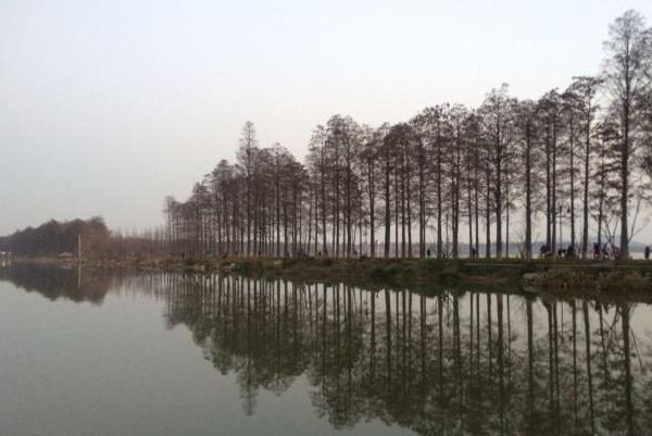 武汉东湖可以骑自己的电动车进去吗