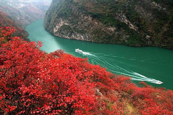 重庆巫山红叶节2023年的几月几日举行