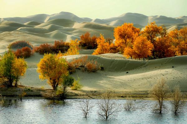 新疆自驾游路线有哪一些比较好的推荐