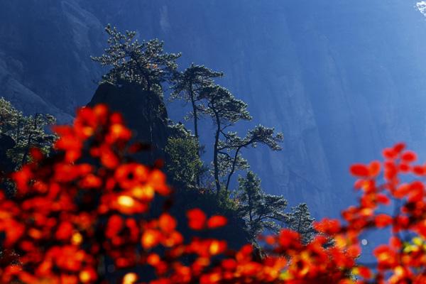 安徽秋天看红叶的好去处 最佳观赏地点推荐