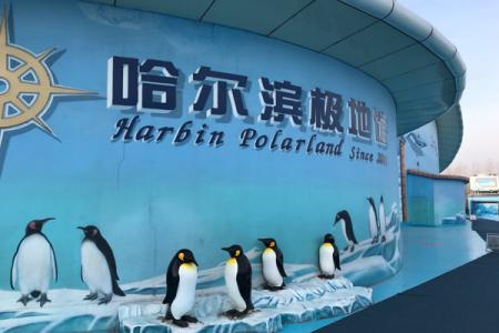 2024哈尔滨极地公园海洋馆门票多少钱