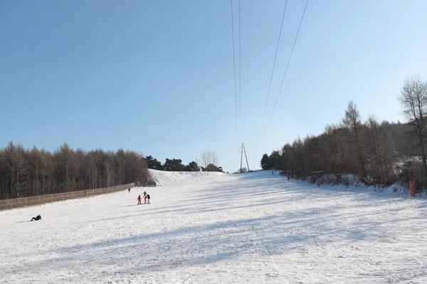 玉泉霜雪滑雪场到哈尔滨有多远 景点具体位置在哪