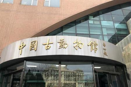 2024中国古动物馆旅游攻略 - 门票价格 - 优惠政策 - 开放时间 - 简介 - 交通 - 美食 - 地址 - 电话 - 天气
