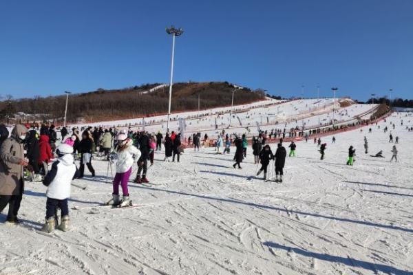2024沈阳怪坡滑雪场门票多少钱一张