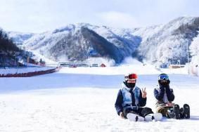 2024洛阳伏牛山滑雪场旅游攻略-门票价格-景点信息