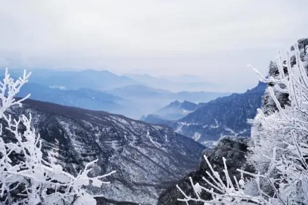 巴中到光霧山景區直通車路線