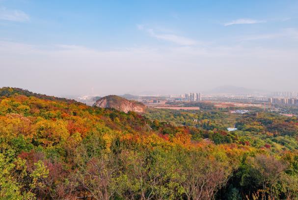 南京深秋哪里最美 看彩林的好去处有哪些