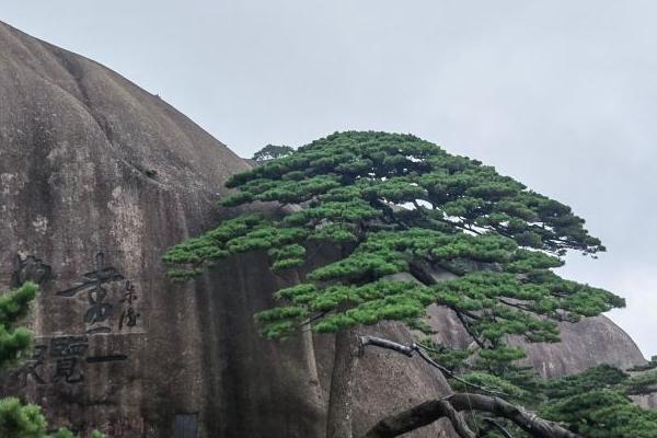 黄山市旅游攻略景点必去