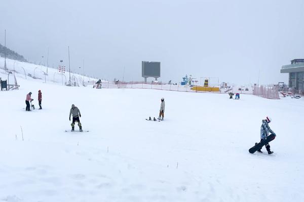 嵩顶滑雪度假区在哪里