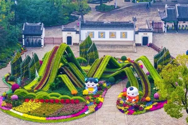 2023年第十四届中国(无锡)菊花展览会观展攻略