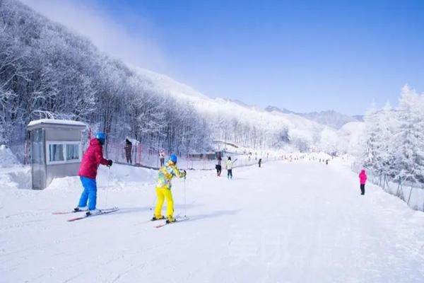 2023-2024神农架中和国际滑雪场游玩攻略-门票价格-景点信息