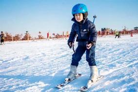 2023-2024平度文王山风景区滑雪多少钱