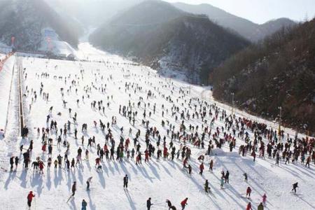 嵩县木札岭速龙滑雪场旅游攻略-门票价格-景点信息