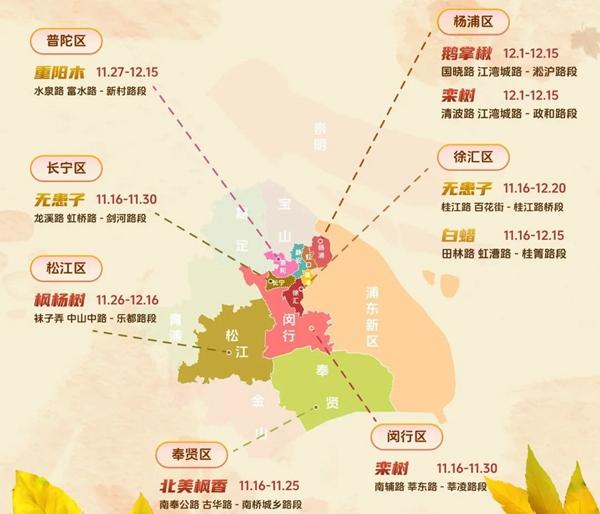 2023上海落葉不掃景觀道路的地方有哪些