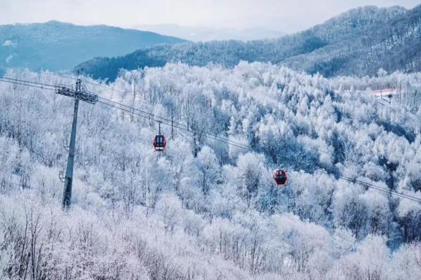 2023-2024萬峰通化滑雪場開放時間 附雪道介紹