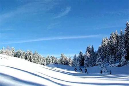 2023太白山滑雪场旅游攻略 - 门票价格 - 优惠政策 - 开放时间 - 简介 - 交通 - 美食 - 地址 - 电话 - 天气