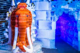 2023-2024观音山冰雪世界门票价格